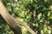 paraty1-406.jpg