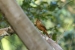 paraty1-432.jpg