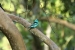 paraty1-452.jpg