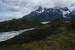 Patagonia 304.jpg