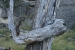 Patagonia 051.jpg