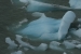 Patagonia 505.jpg