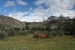 Patagonia 584.jpg