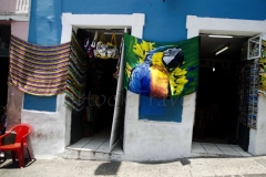 thumb_Pelhourinho and Barra_20151206_8972_1024