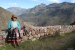 Pisac 212.jpg
