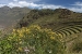 Pisac 423.jpg