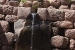 Pisac 441.jpg