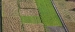 crop1.jpg