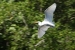 20111105-IMG_7120