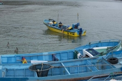 20140704_Puerto-lopez-2-2014_0279