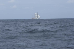 20140704_Puerto-lopez-2-2014_0300
