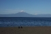 puerto-varas-frutilla-111