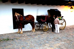 thumb_Bogota and Villa de Leyva_20151108_7132-1 (dragged)_1024