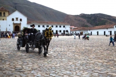 thumb_Bogota and Villa de Leyva_20151108_7135-1 (dragged)_1024