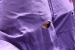 20120406-IMG_4486