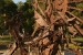 san-juan-and-other-places-072