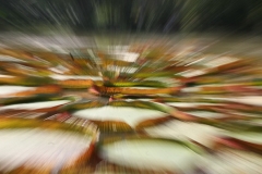 Rio and Jardim Botanica 127