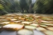 Rio and Jardim Botanica 133.jpg