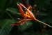 Rio and Jardim Botanica 161.jpg