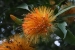 Rio and Jardim Botanica 169.jpg