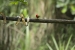 20140712_sachatamia-2_0071