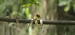 20140712_sachatamia-2_0089a