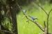 20140712_sachatamia-2_0167