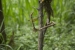 20140712_sachatamia-2_0204