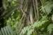 20140712_sachatamia-2_0219