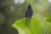 20140712_sachatamia-2_0267