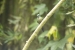 20140712_sachatamia-2_0334