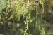 20140712_sachatamia-2_0428