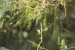 20140712_sachatamia-2_0430