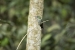 20140713_Sachatamia3_0053
