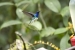 20140713_Sachatamia3_0099