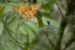 20140713_Sachatamia3_0103