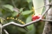 20140713_Sachatamia3_0117