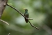 20140713_Sachatamia3_0155