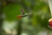20140713_Sachatamia3_0189
