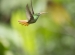 20140713_Sachatamia3_0340
