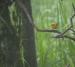 20140713_sachatamia-4_0126a