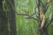 20140713_sachatamia-4_0136