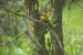 20140713_sachatamia-4_0141