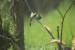 20140713_sachatamia-4_0156