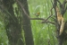 20140713_sachatamia-4_0197