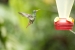 20140713_sachatamia_0001