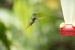 20140713_sachatamia_0003