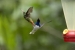 20140713_sachatamia_0039