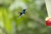 20140713_sachatamia_0045