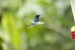 20140713_sachatamia_0046